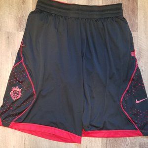 Nike Lebron lion logo shorts